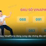 Hiện nay VinaPhone đang cung cấp những đầu số nào?