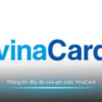 Thông tin đầy đủ của gói cước VinaCard